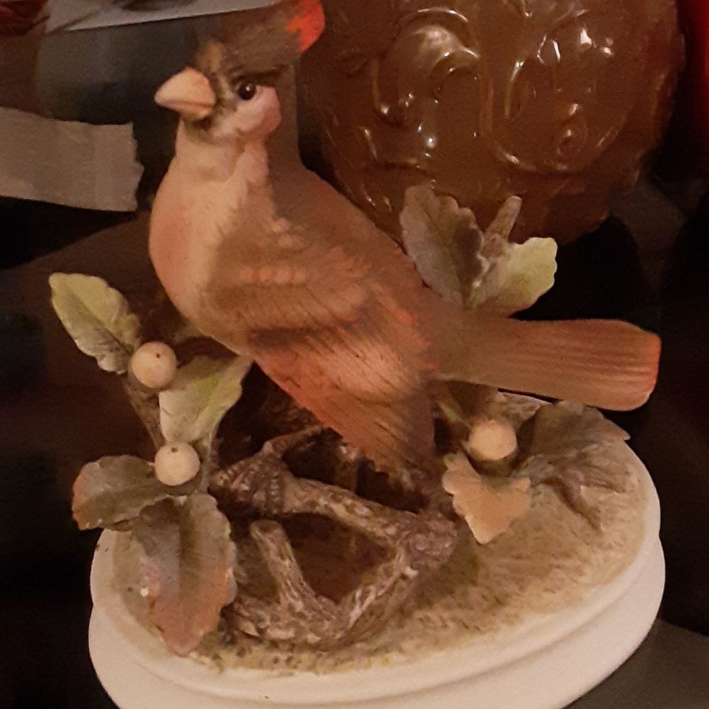 Cardinal by andrea